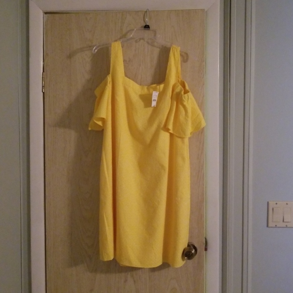 j crew dress